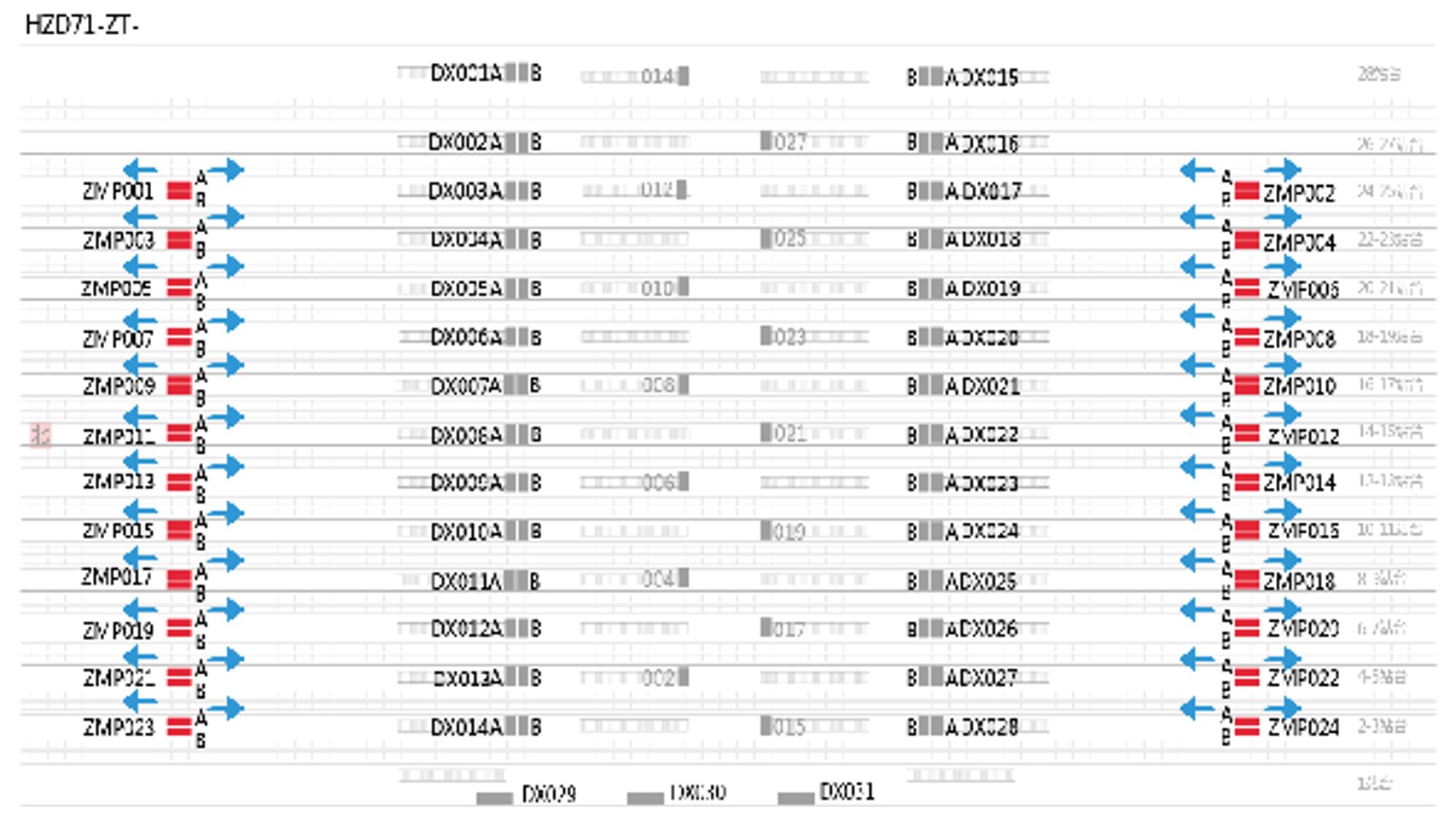 杭州东站广告-站台层双面站名灯箱套装位置图