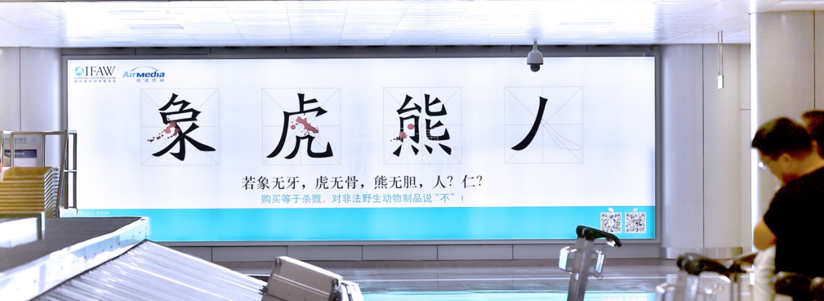 北京首都机场广告-T2国内到达行李厅灯箱2A