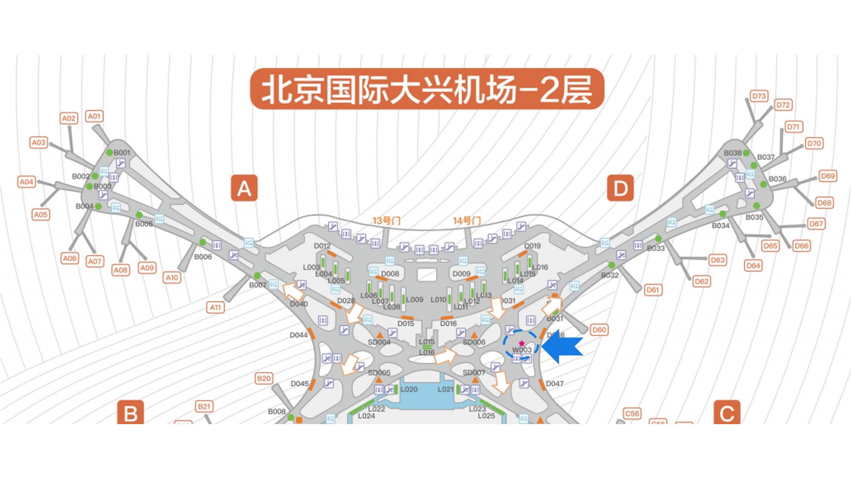 北京大兴国际机场广告-国内混流区实物展位位置图