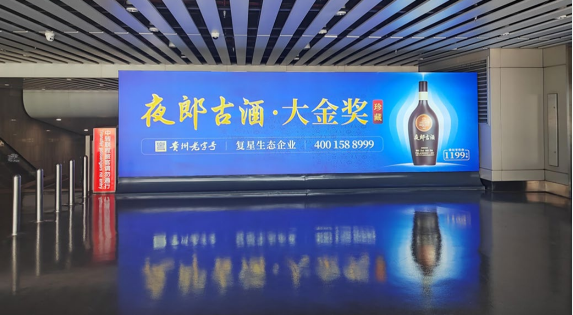贵阳龙洞堡国际机场广告-T2到达通廊灯箱D020