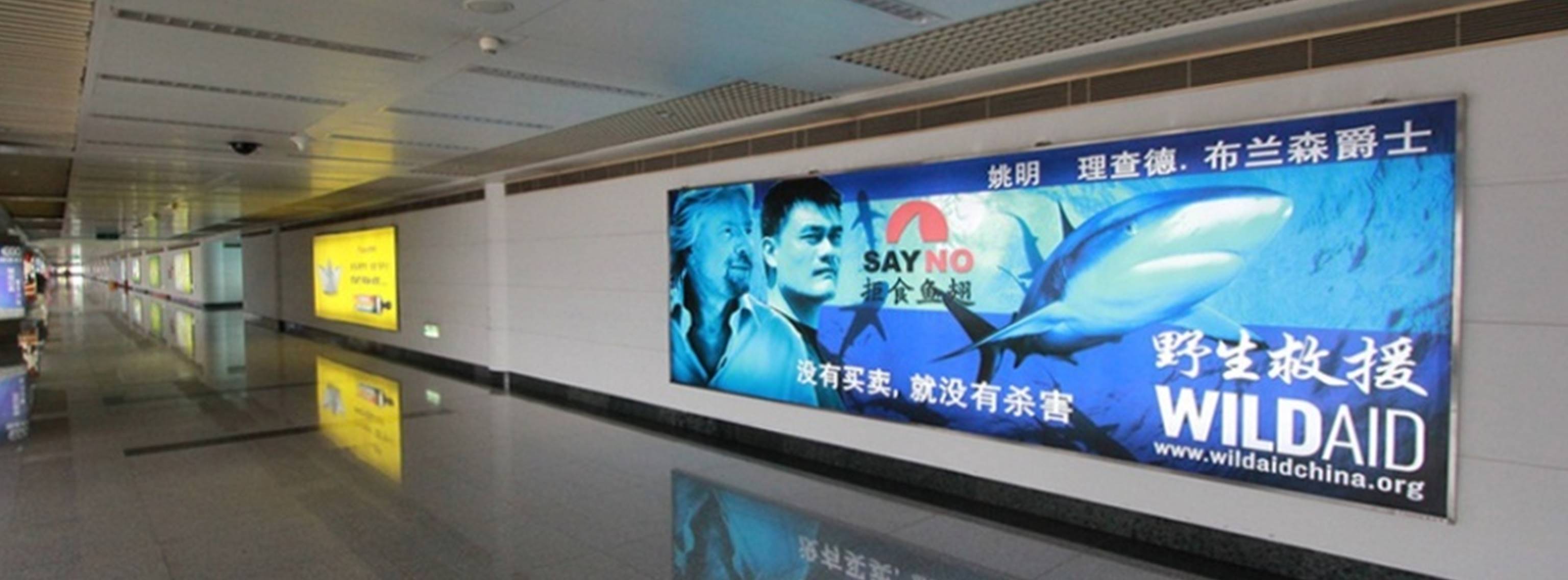 杭州萧山机场广告-T1到达夹层长廊灯箱DA23