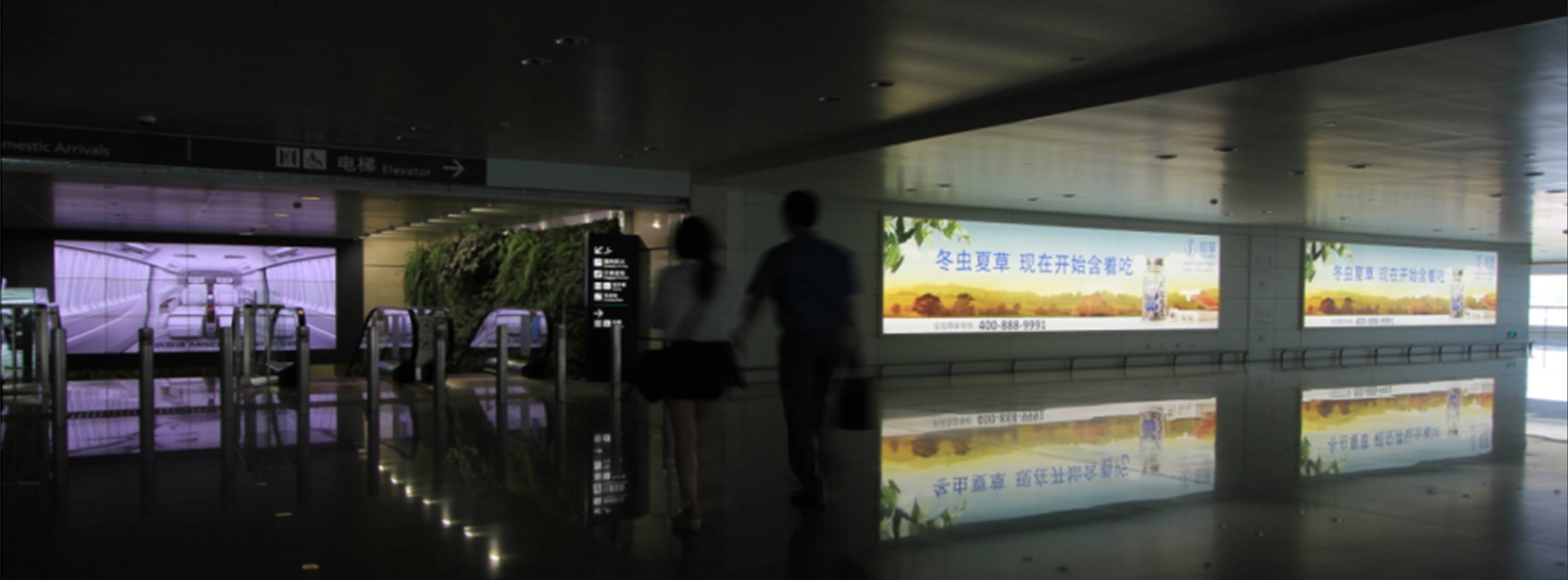 杭州萧山机场广告-T3到达全覆盖灯箱DA80/81