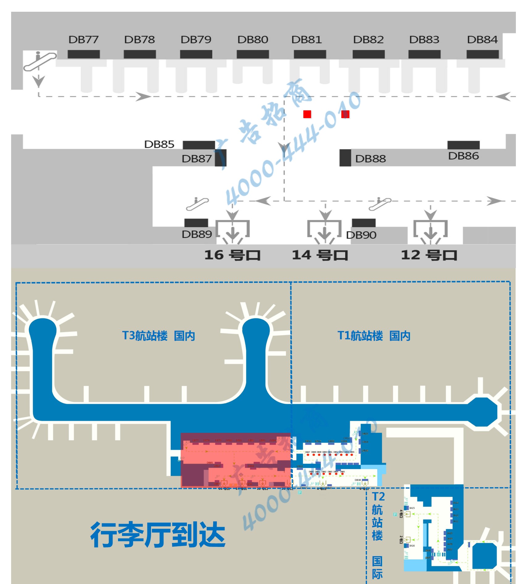 杭州萧山机场广告-T3迎客厅墙体灯箱DB87/88-B组位置图