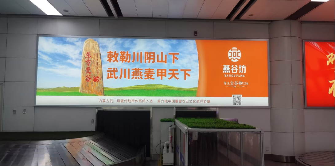 呼和浩特机场广告-国内到达行李厅灯箱D014/D015