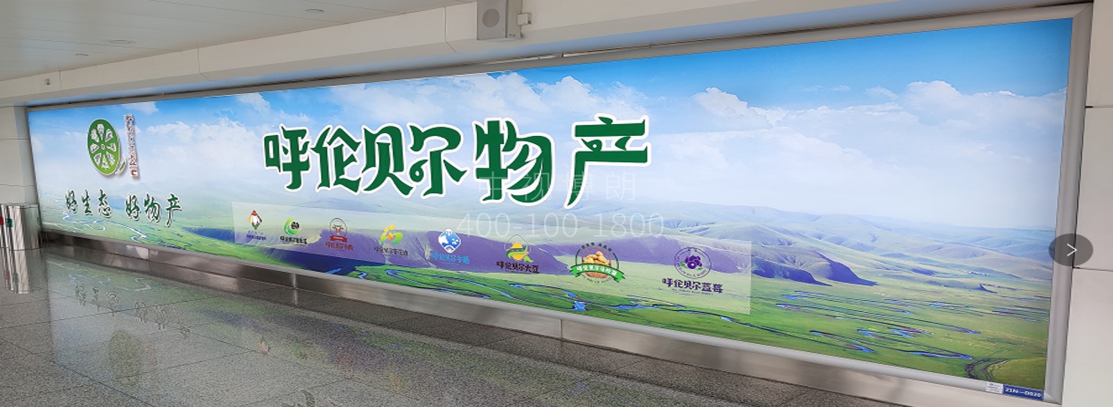 呼和浩特白塔国际机场广告-国内到达通道灯箱D020