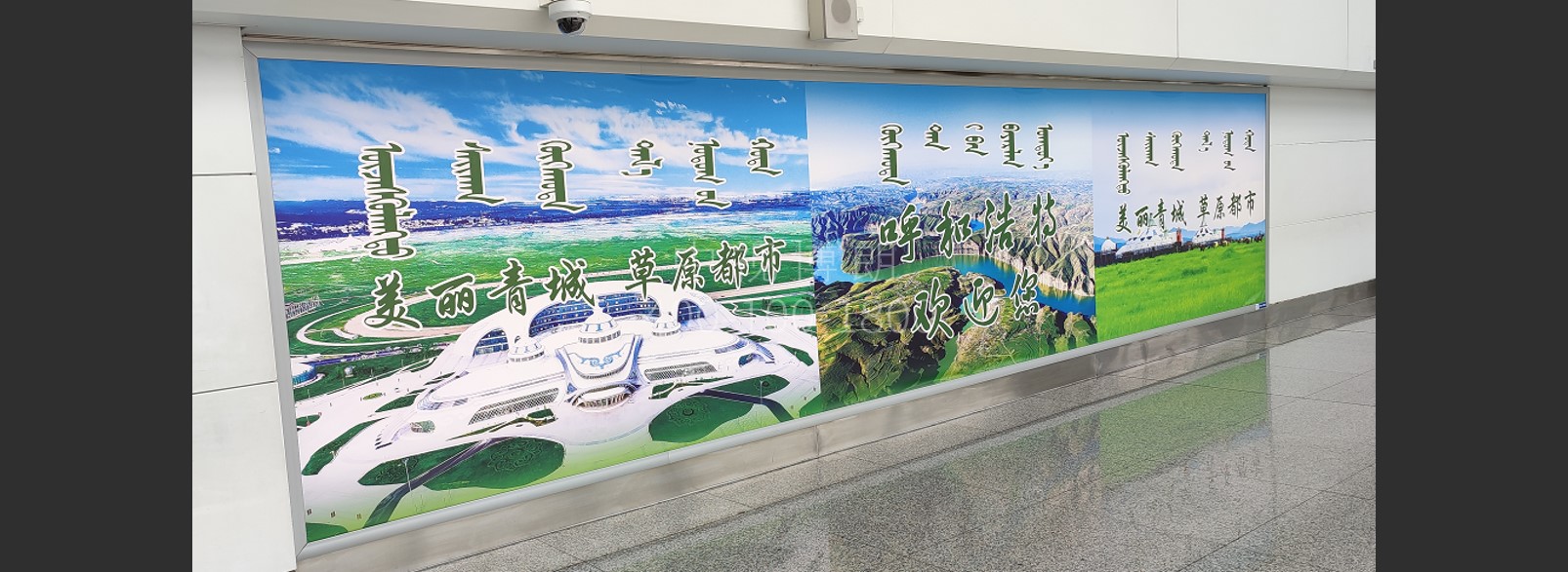 呼和浩特白塔国际机场广告-国内到达通道灯箱D022