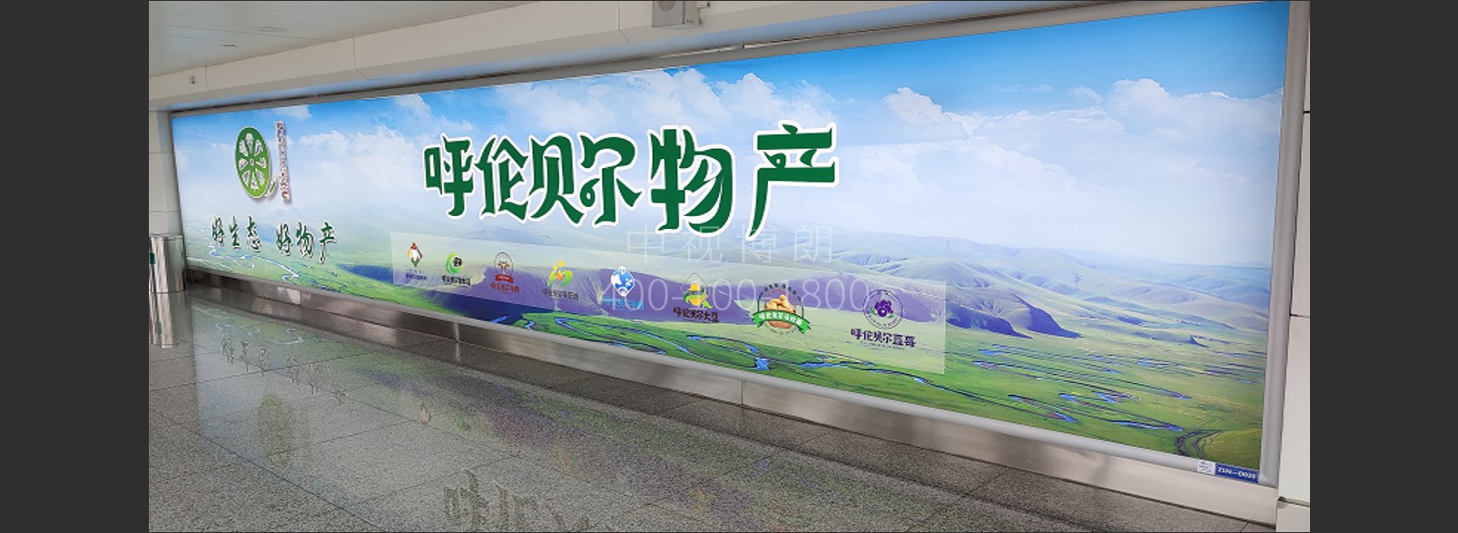 呼和浩特白塔国际机场广告-国内到达通道灯箱D023