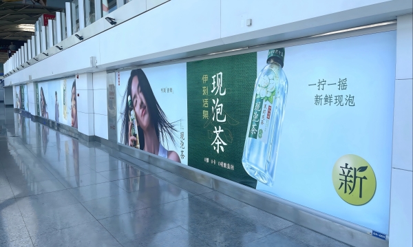 Huhehaote Airport Advertising-Domestic arrival channel lightbox D026