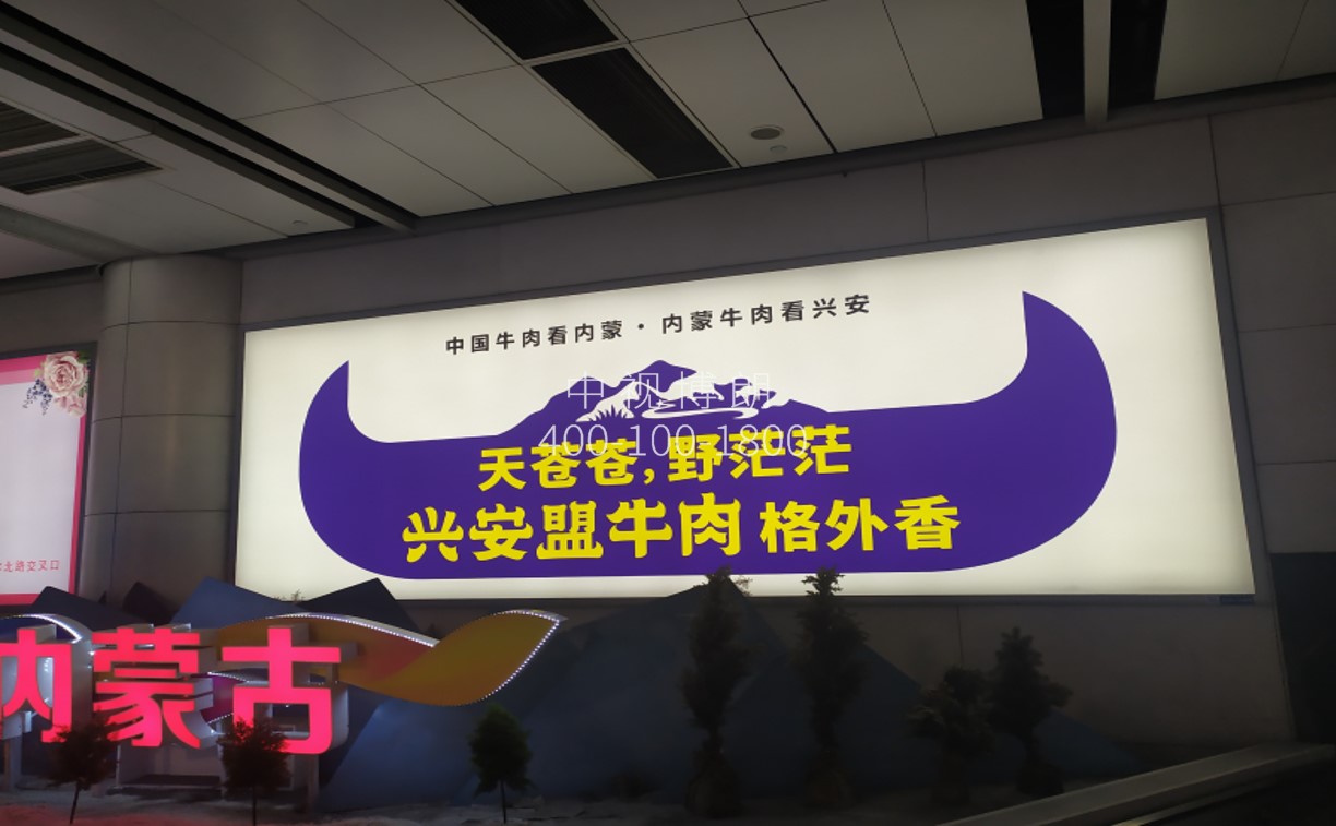 呼和浩特白塔国际机场广告-国内到达行李厅灯箱D009