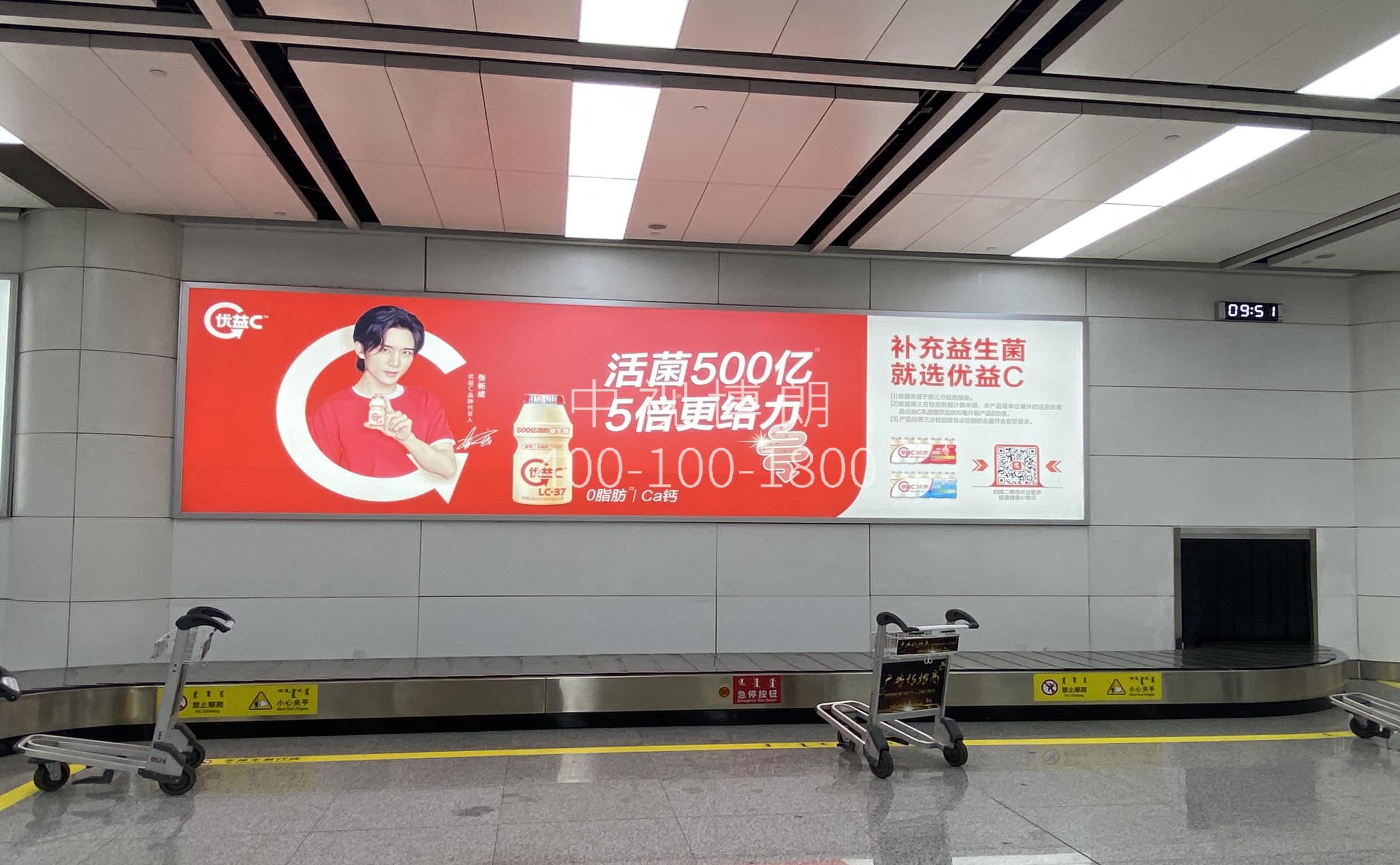 呼和浩特白塔国际机场广告-国内到达行李厅灯箱D015