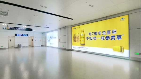 宁波栎社国际机场广告-T1国内到达通廊灯箱21