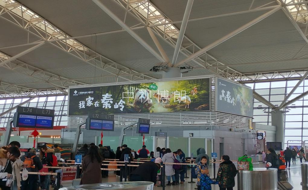 西安机场广告-T3国内出发值机厅灯箱DX-3